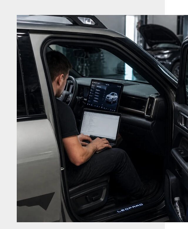 Русификация BYD Leopard 3 в Воскресенске по цене от 20573 р. | ФастМобиль-Вск