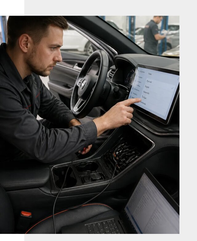 Профессиональная русификация BYD SONG Plus в Воскресенске
